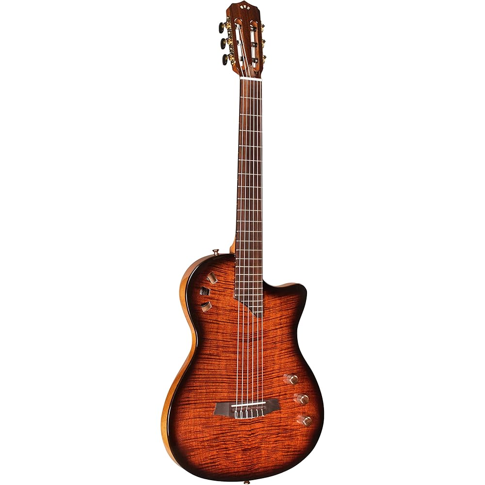 Cordoba Stage 6 String Electric Guitar for Live Performances &amp; Studio Recording, Right-Handed, Solid Spruce Top, Chambered Solid Body, Cutaway, Fusion Neck, Recycled Nylon Shell Gig-Bag (COD EB)