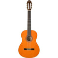 Washburn Classical C5, Acoustic Guitar